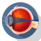human eye nearsightedness farsightedness